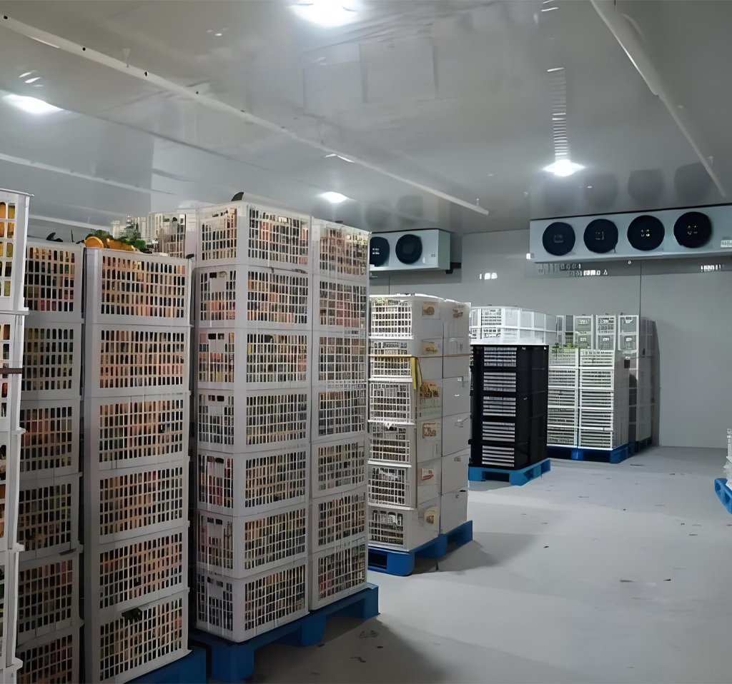 Innovative refrigeration technology helps preserve agricultural products