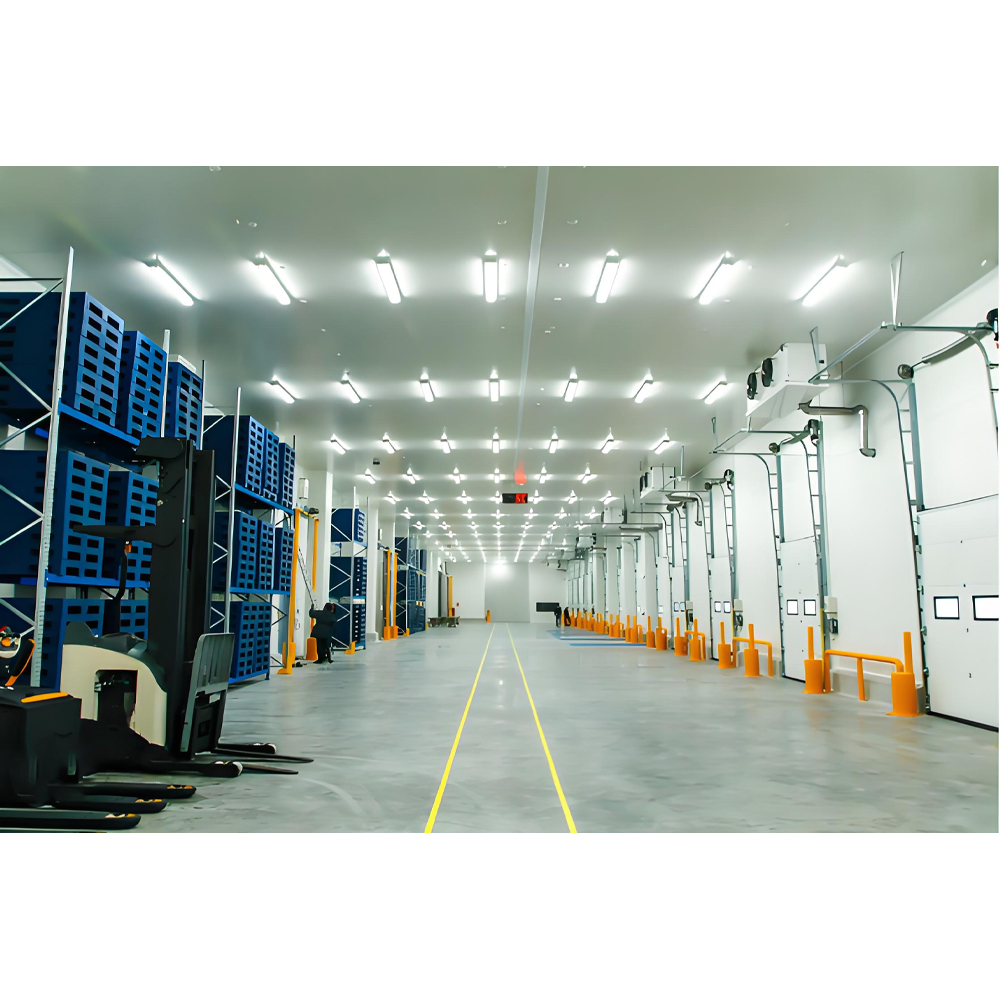 Large scale cold storage: the core pillar of modern cold chain logistics
