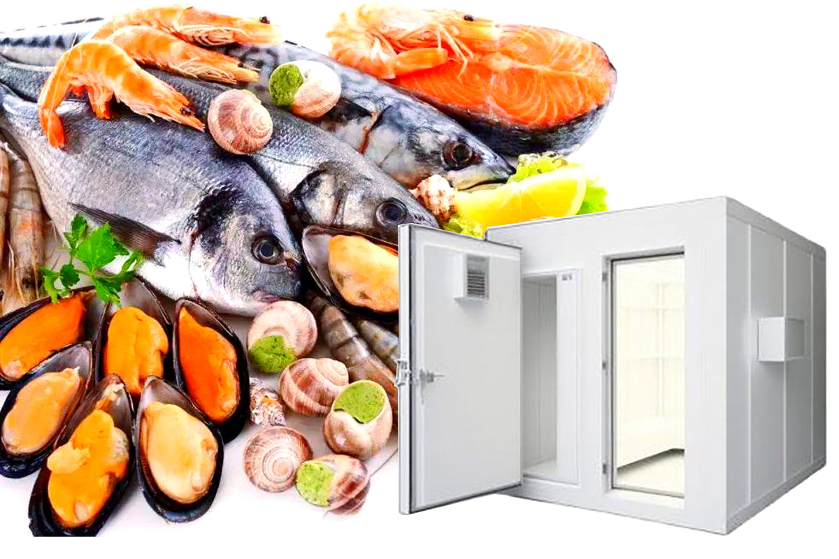 Choosing the right cold storage panel for aquatic cold storage: Moisture resistance is the core consideration, and material selection is carefully considered